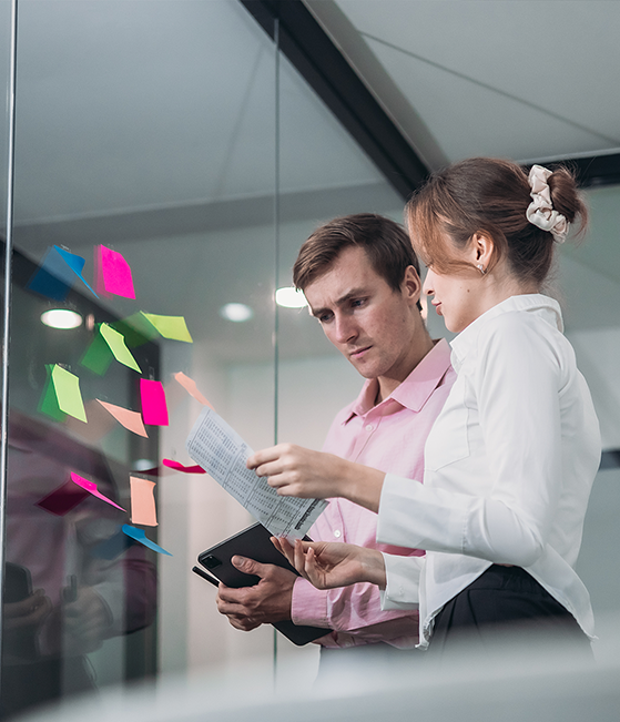 What Evoluz Did