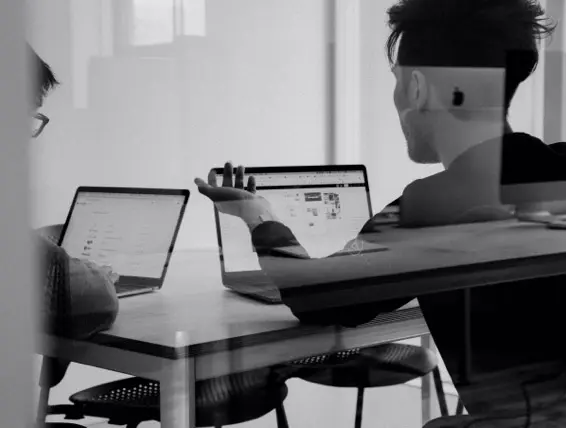 Team working on laptops in office