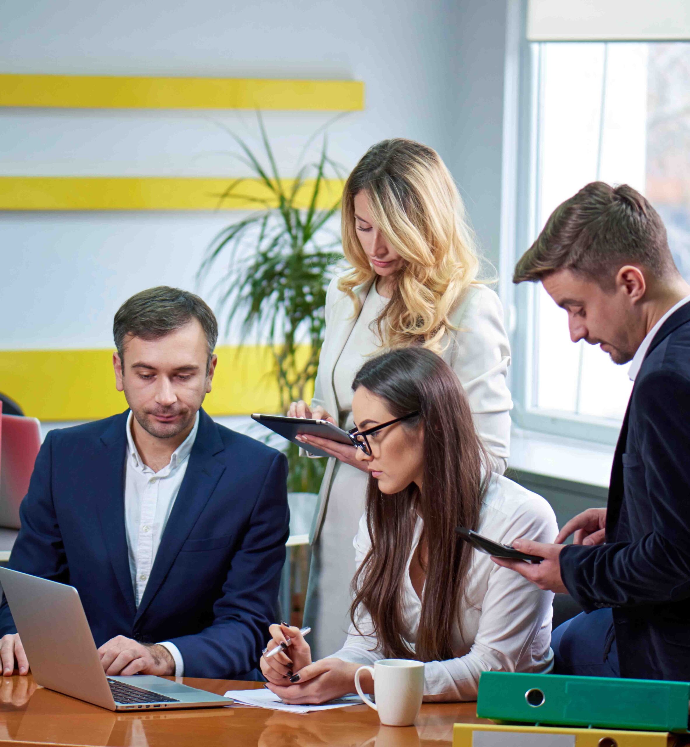 Certified zoho consultants